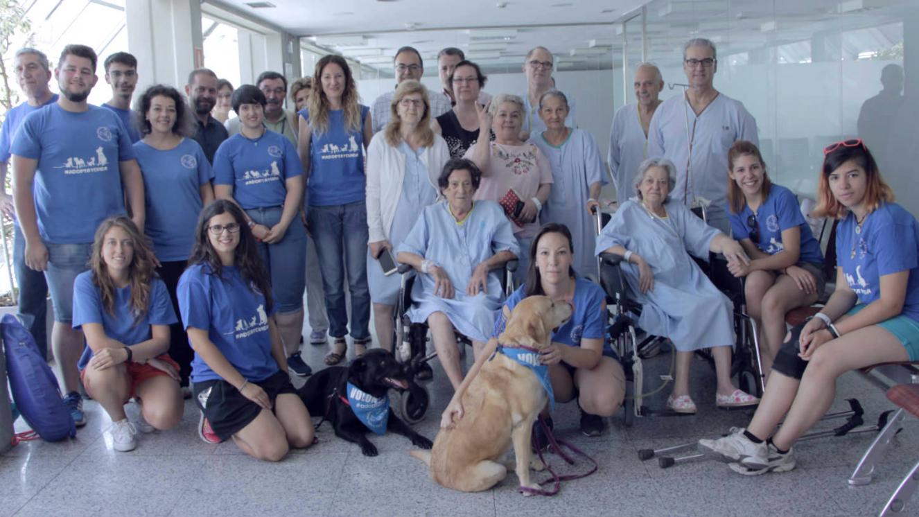 Hospital Severo Ochoa | Asociación Canina de Leganés