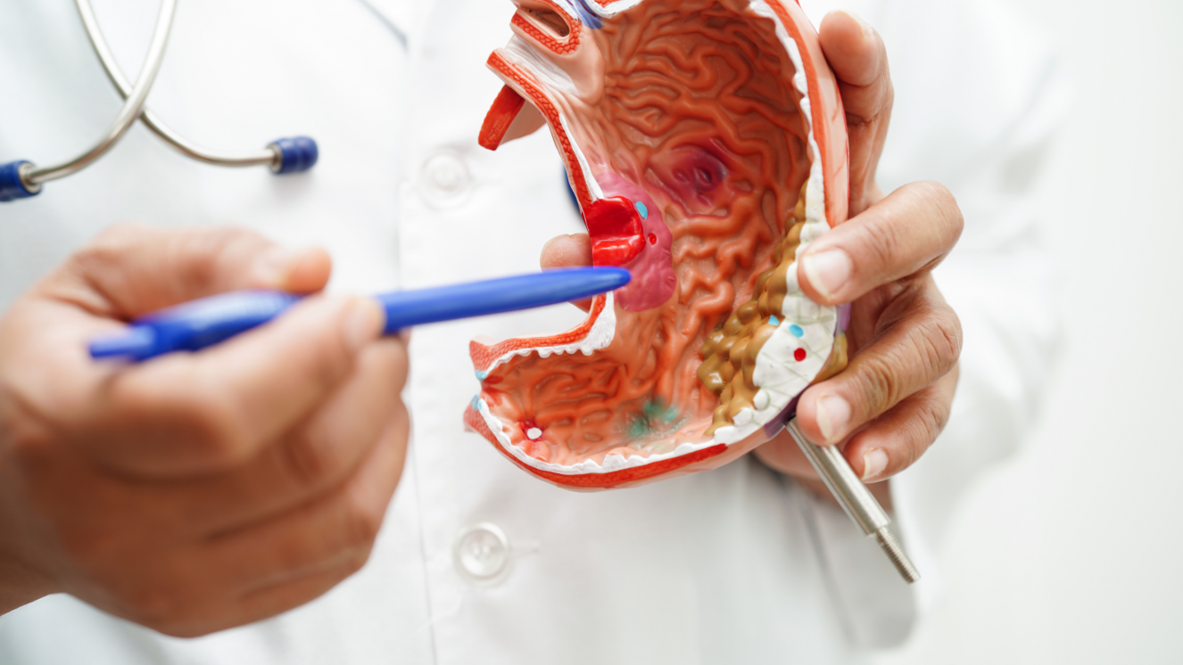 Pieza de aparato digestivo