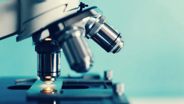 Hospital Severo Ochoa | Docencia en Formación Especializada - Residencia - Bioquímica Clínica