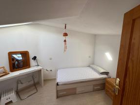 Ventana velux