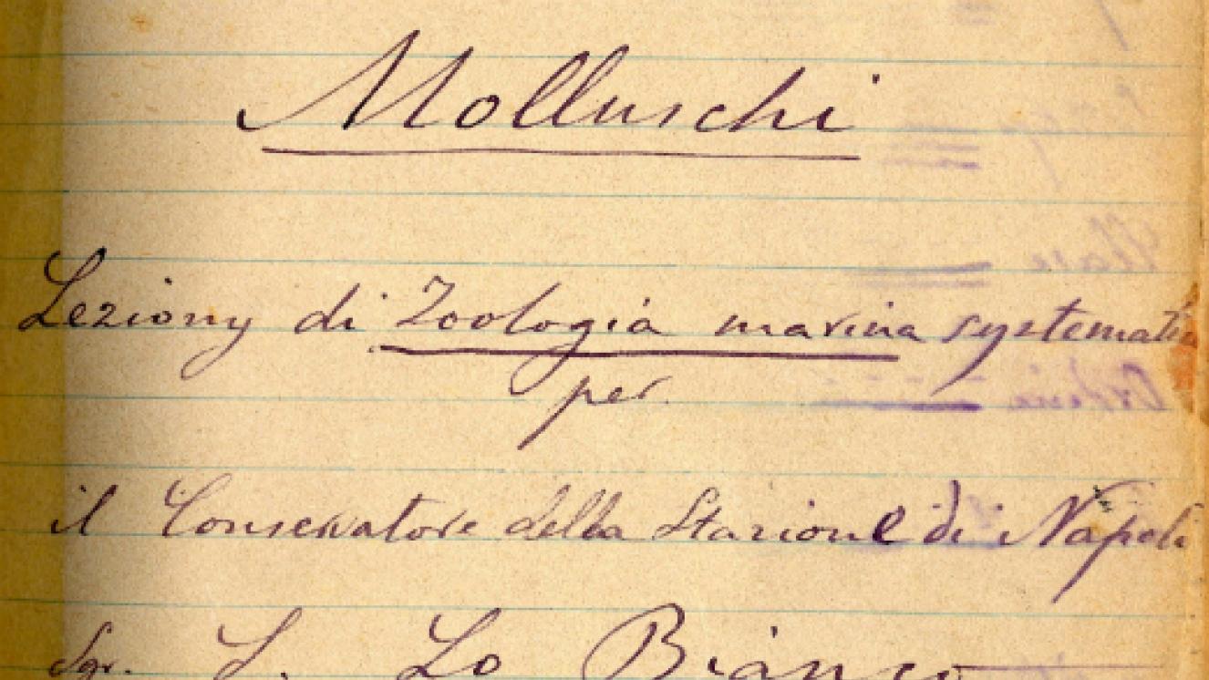 Portada del cuaderno