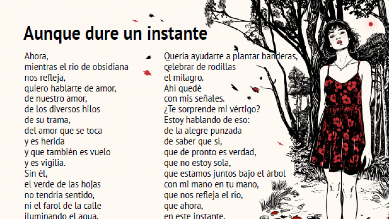 Lámina Libros a la calle - Vía única
