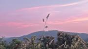 ÁNGELES LÓPEZ GARCÍA imagen de una fotografía de la exposición de un paisaje de montaña