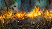 reportaje_incendios_imagen