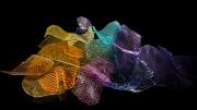 Ana Daganzo, Visual glitch Trozos ondulados de plástico y varios colores formando una figura