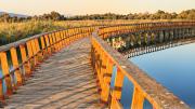 Imagen de un puente de color amarillo sobre un río