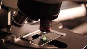 El estudio abre una nueva línea de investigación en la lucha contra las bacterias multirresistentes 