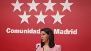 La consejera Mercedes Zarzalejo atiende a los medios de comunicación desde la Real Casa de Correos