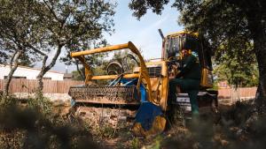 Labores de desbroce para prevenir incendios forestales