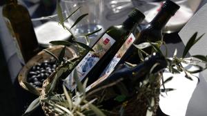 Botellas de aceites entre olivos