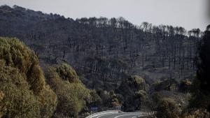 Carretera