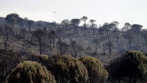 Sierra Oeste quemada por los incendios