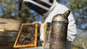 La Comunidad de Madrid supervisa el uso de ahumadores en apicultura para prevenir incendios forestales