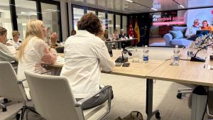 La consejera Albert en un encuentro sectorial con empresas de energía y servicios públicos esenciales
