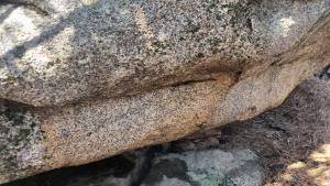 Limpieza de pintadas en el área natural protegida de La Pedriza
