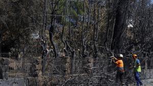 La Comunidad de Madrid crea la Comisión Interdepartamental para la Reconstrucción de la Sierra Oeste tras los incendios Reconstrucción de la Sierra Oeste