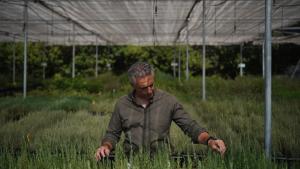 El consejero Novillo en el vivero del IMIDRA