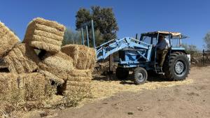 El director general de Agricultura, Ganadería y Alimentación 