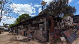 Daños provocados por los incendios en Pelayos de la Presa Daños provocados por los incendios en Pelayos de la Presa