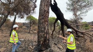 Técnicos de la Consejería de Medio Ambiente, Agricultura e Interior