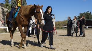La Comunidad de Madrid desarrolla un programa de terapia asistida con caballos para lograr la recuperación de mujeres víctimas de violencia La consejera Dávila en el Centro Ecuestre Villafranca