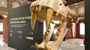 Exposición Dientes de Sable