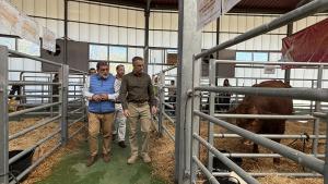 Novillo inaugura la 88ª edición de la Subasta Nacional de Ganado Selecto El consejero Carlos Novillo durante la 88ª edición de la Subasta Nacional de Ganado Selecto en Colmenar Viejo