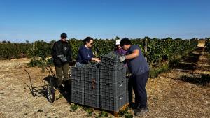 La Comunidad de Madrid abre sus centros de  investigación agraria a estudiantes de FP y de  universidades para realizar sus prácticas académicas