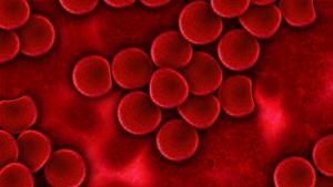 Moléculas de sangre