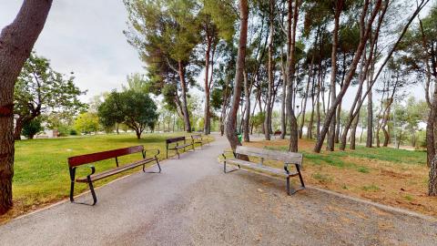 Jardín. Amplísima zona verde con múltiples bancas y árboles altos.