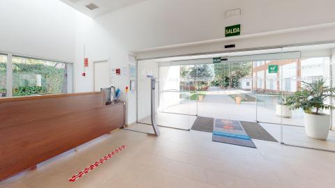 Recepción. Vista interior de la entrada acristalada con abundante luz natural. A la izquierda destaca un mostrador de recepción de madera oscura. El suelo es de baldosas cerámicas beige y las paredes son completamente blancas. Al fondo se observa una gran puerta automática de cristal con vinilos de estrellas grabados, que muestra el camino exterior y un jardín arbolado. Junto a la puerta hay un gran macetero blanco con una planta verde.