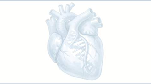 Imagen icónica de un corazón azul sobre fondo blanco
