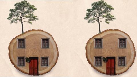 Taller ecotopias