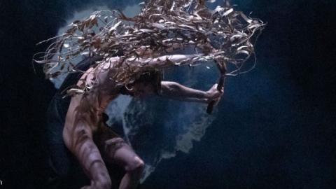 imagen de un bailarín desnudo como agarrando un árbol