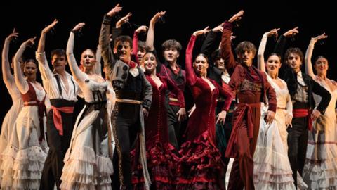Foto de Real Conservatorio de Danza Mariemma 