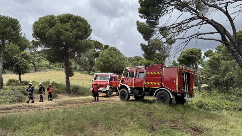 Simulacro de incendio forestal Simulacro de incendio forestal