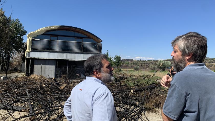 El director general de Agricultura, Ganadería y Alimentación 