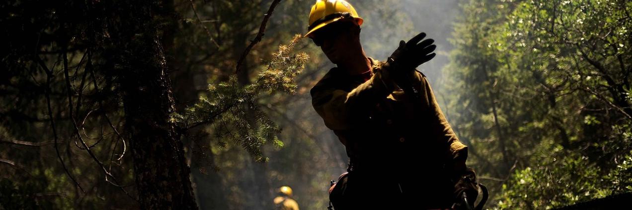 Foto incendio forestal