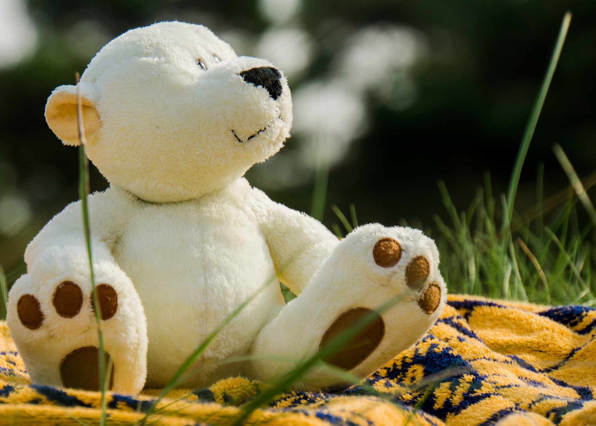 oso de peluche sobre una toalla