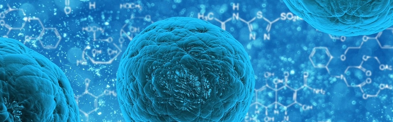 Cells