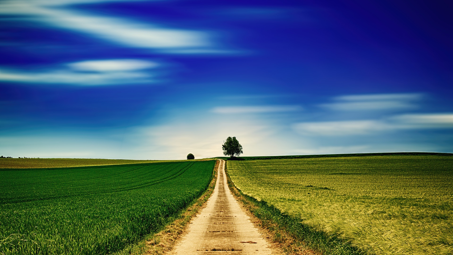 carretera en el campo