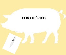 silueta de un cerdo con relleno en blanco con leyenda cebo ibérico y precinto blanco