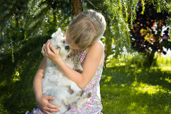 Niña pequeña abrazando a un perro