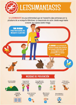 Portada de la publicación Leishmaniasis (cartel)