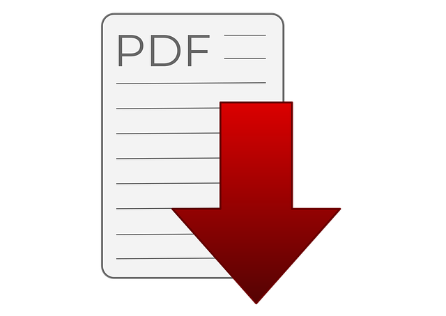 Icono PDF