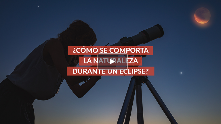 Thumbnail video eclipse