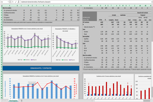 Ficha estadística ocupacional con gráficas excel, ejemplo enfermero