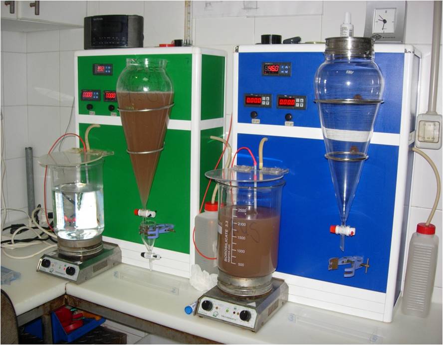 Preparación de muestra para análisis de triquina