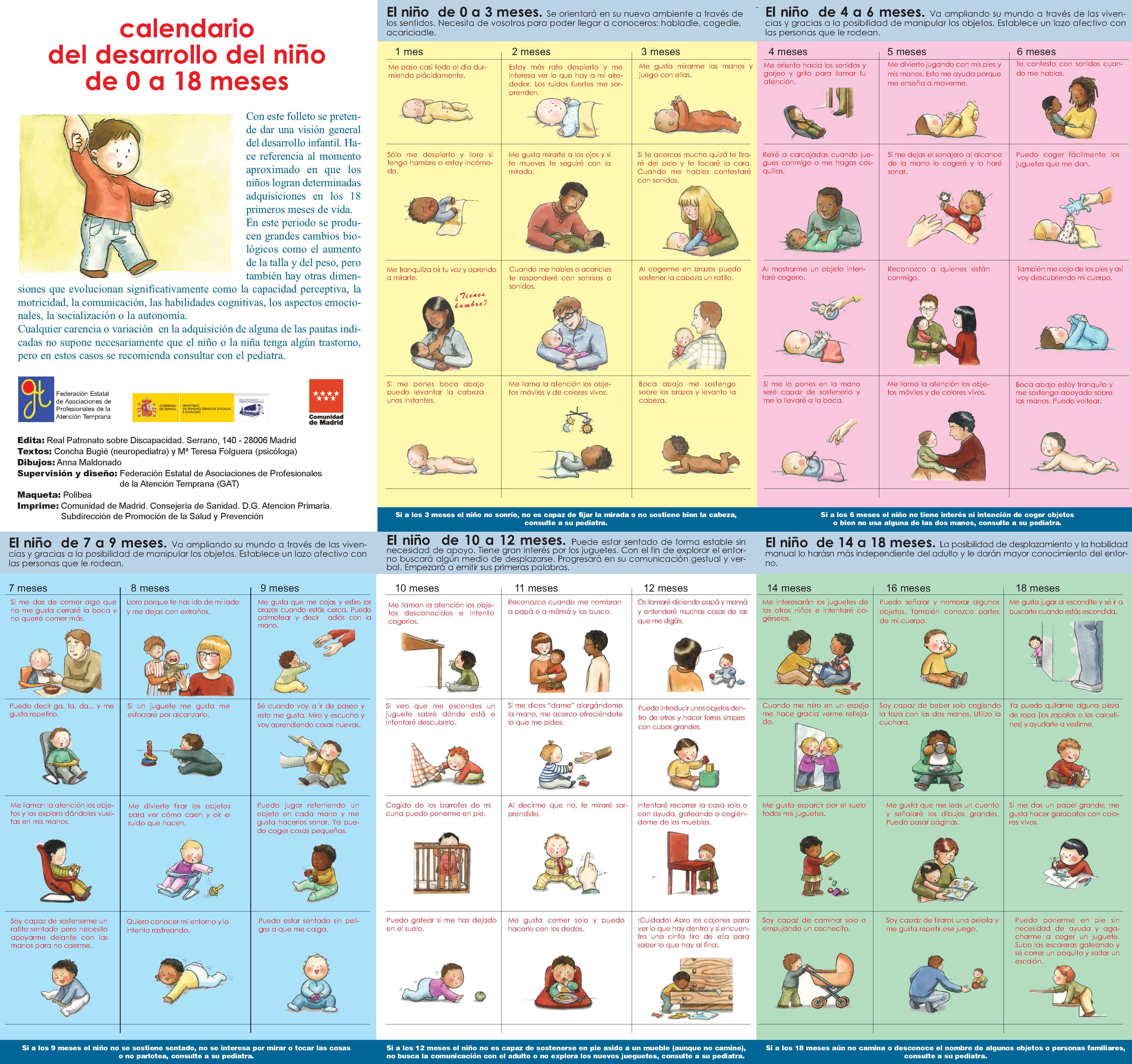 Guia Del Desarrollo Del Niño De 0 A 3 Años