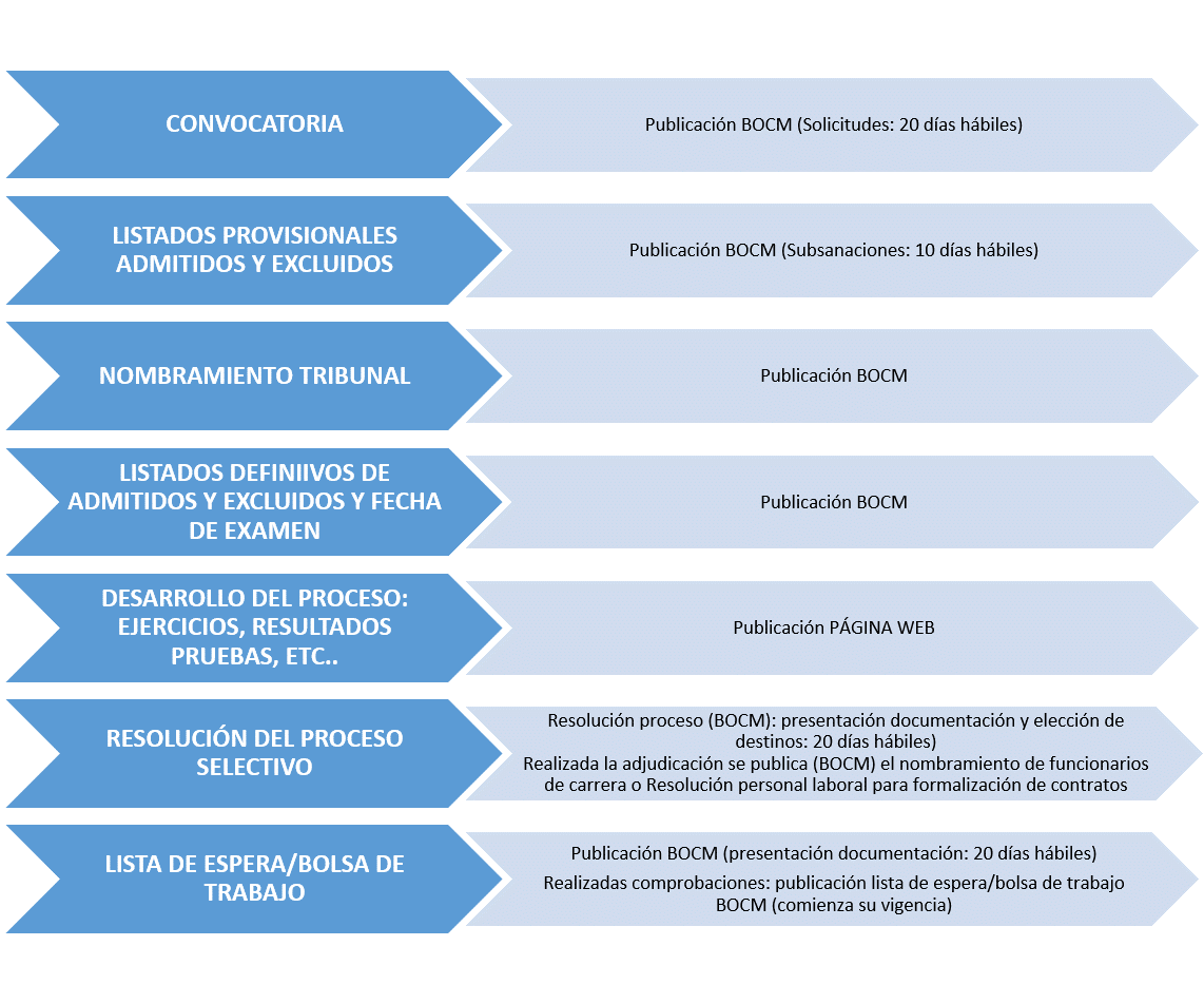 fases de un proceso selectivo